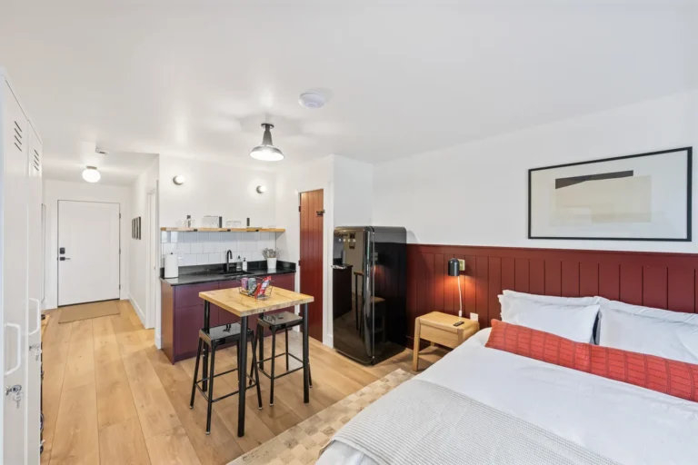 Modern studio with kitchenette and cozy bed