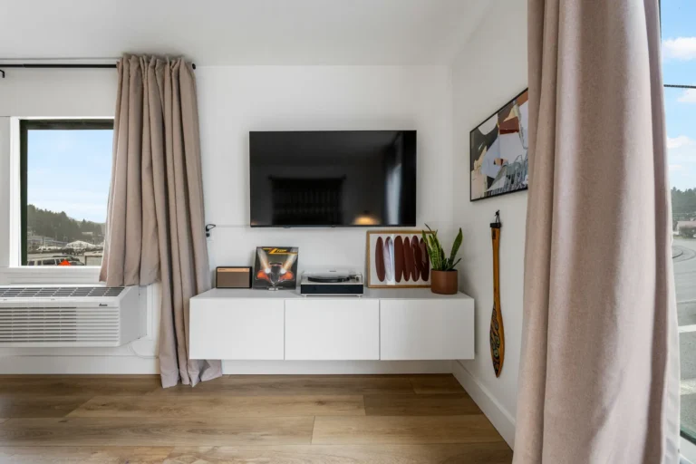 Modern living room with TV and decor