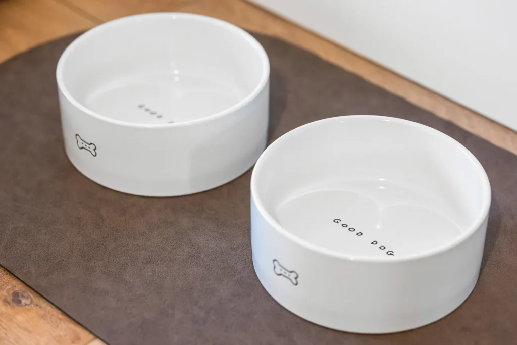White dog bowls on brown mat