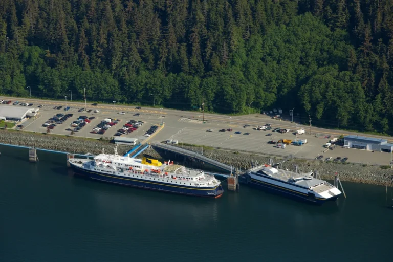 Ferries docked at a coastal terminal near forest