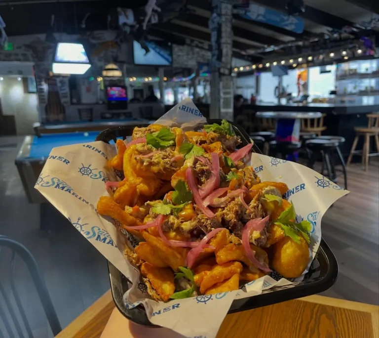 Loaded curly fries with pulled pork and toppings